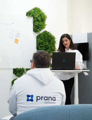 Planes y precios de Prana Software: flexibilidad, ahorro y contabilidad incluida 1 🧾 Plan Vital: pensado para pequeñas empresas que crecen