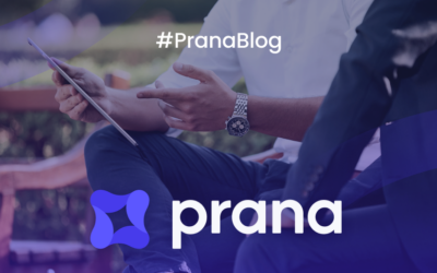 Programa de partners de Prana Software: guía práctica para consultores IT, asesorías y empresas de informática
